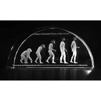 3-D-Modell in Glas, Darwin's Evolutionstheorie