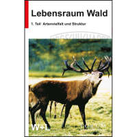 Lehrfilm: Lebensraum Wald