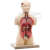 Torso Mini 7-teilig Standard 2