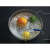 PASCO Temperatursensor 4-fach -35°C bis 135°C 1