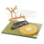 Mykorrhiza der Waldkiefer Modell SOMSO® 1