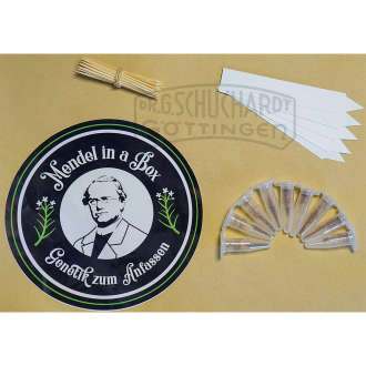 Saatgut-Nachfüllpack Mendel in a Box