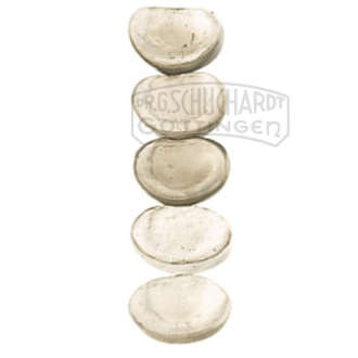 Bandscheibe Modell SOMSO®