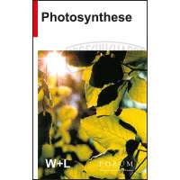 Lehrfilm: Photosynthese