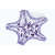 LIEDER Stachelhäuter Moostiere Armfüßer (Echinodermata Bryozoa Brachiopoda)  10 Präparate 1