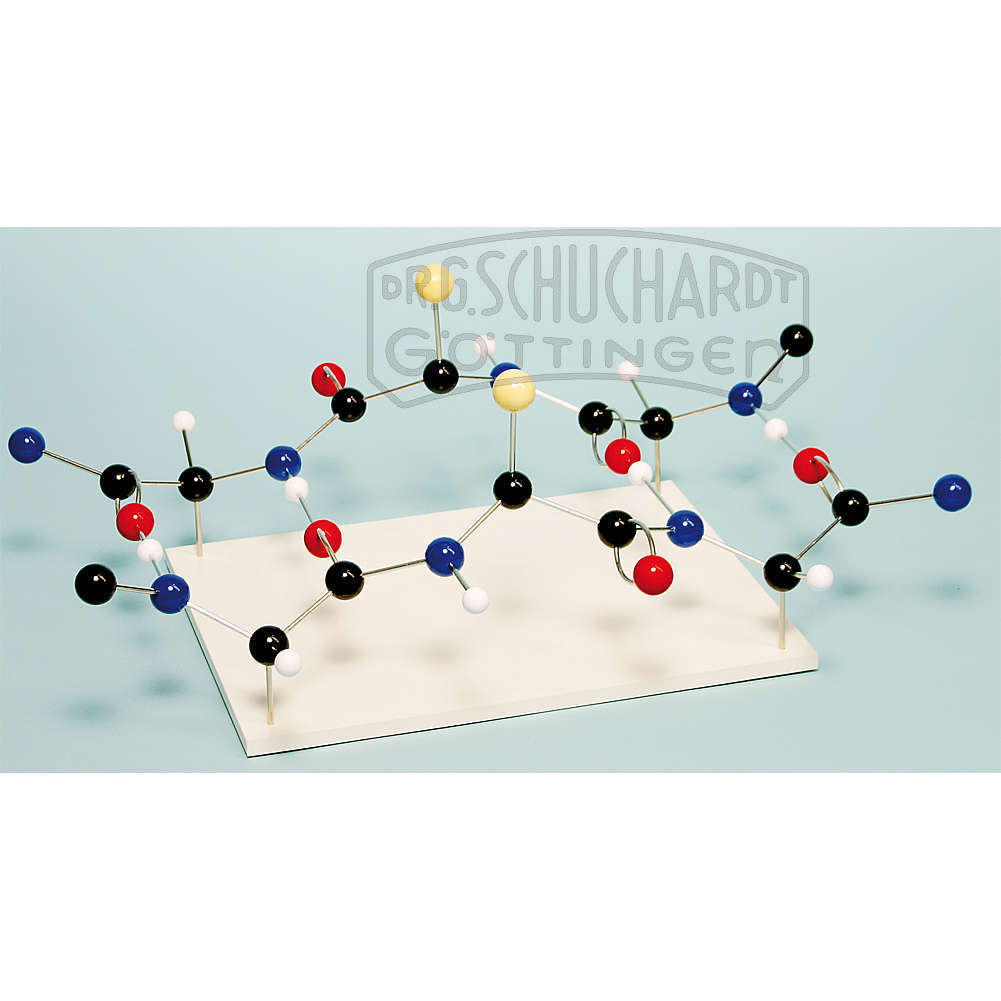 Biologische Molekülmodelle